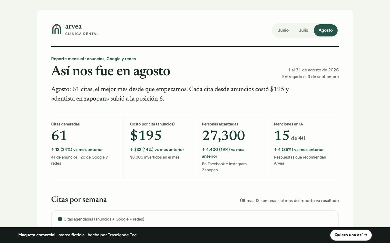 Maqueta del reporte mensual de Clínica Dental Arvea